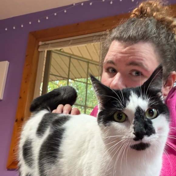 🎨FUZZ IS LIVE! NO THEME SHARE SHOW🎨 - Picture 5 of 13